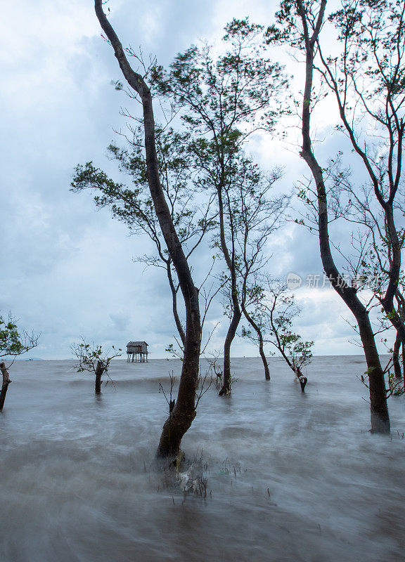 海浪拍打着越南Tan Thanh海滩上的软木树